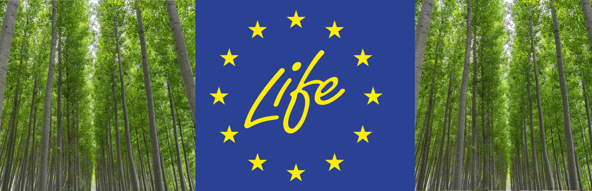 aparece una imagen de unos chopos y el logo de la convocatoria Life