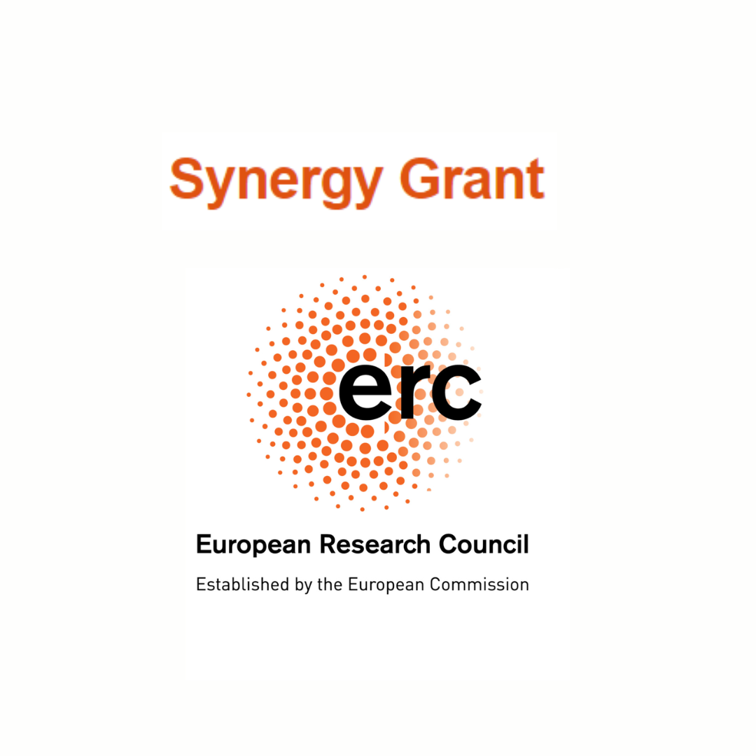 Aparece una imagen del logo del ERC sobre un fondo blanco junto con el título de la convocatoria abierta