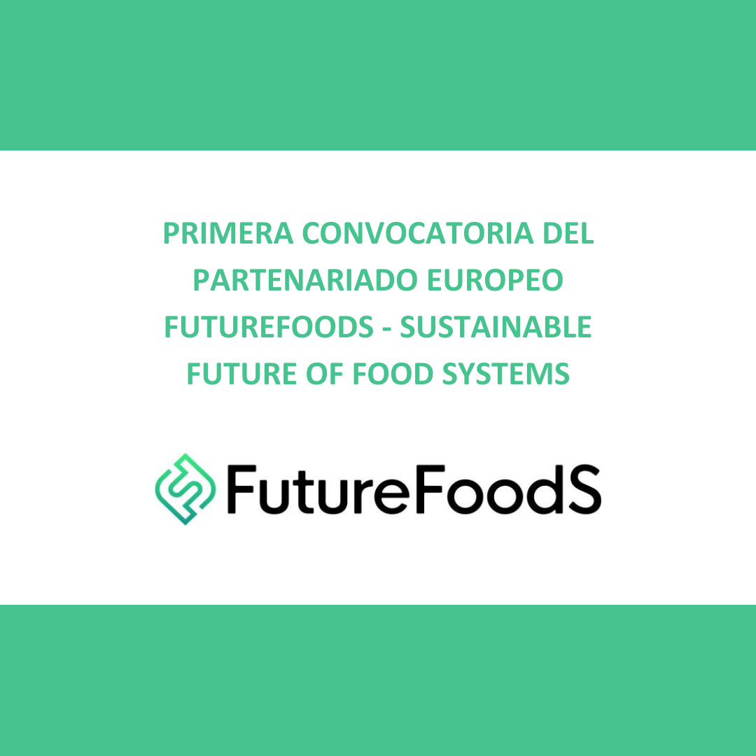 Aparece una imagen que anuncia la primera convocatoria del partenariado europeo FutureFoodS, centrado en sistemas alimentarios sostenibles. Tiene un diseño limpio en tonos verdes y blancos, destacando el nombre "FutureFoodS" con su logotipo asociado. El enfoque está en la sostenibilidad alimentaria del futuro.