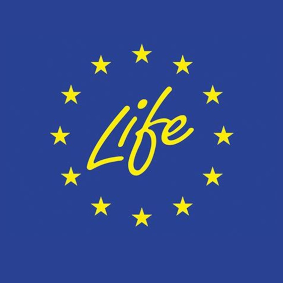 Aparece una imagen con fondo azul donde la palabra “Life” está escrita en amarillo con una tipografía manuscrita. Alrededor de la palabra hay un círculo formado por doce estrellas amarillas, similar al símbolo de la Unión Europea.
