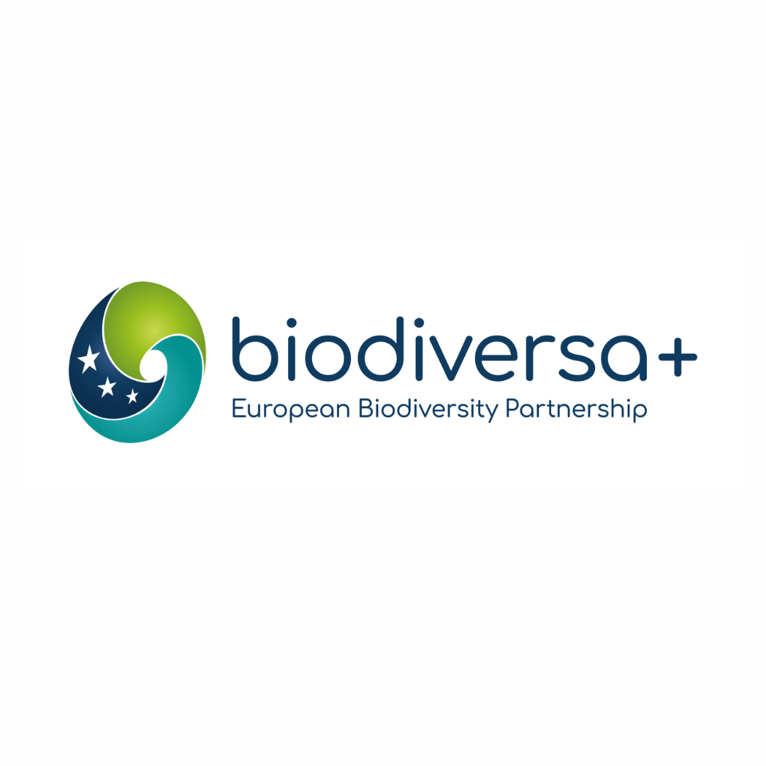 Aparece una imagen con fondo en blanco y el logo de biodiversa+