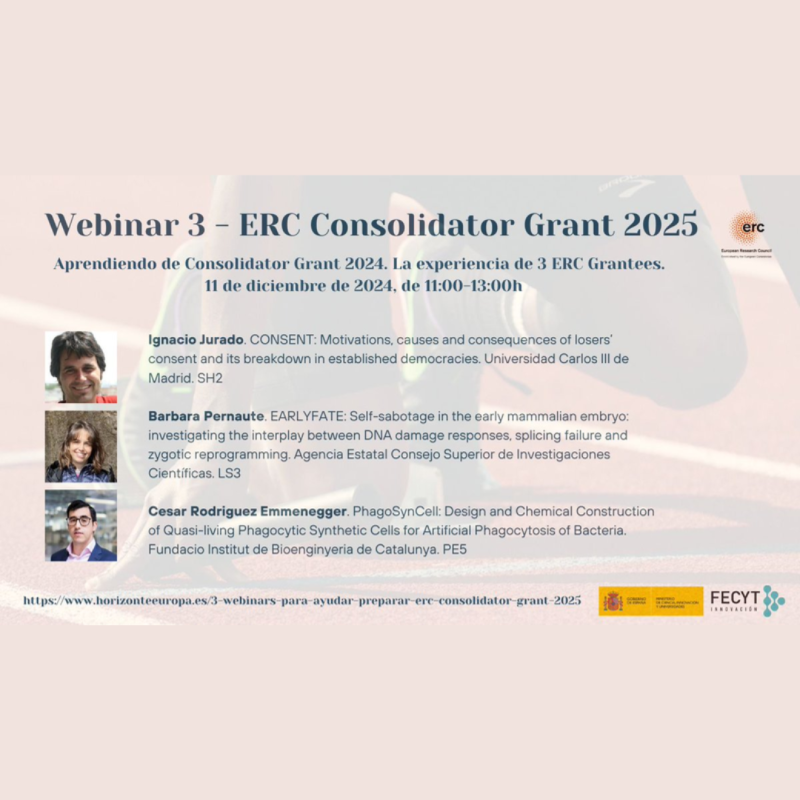 Cartel | Webinarios | Preparación ERC Consolidator Grant 2025 | 11 diciembre 2024 Aparece sobre un fondo gris rosado en el que se aprecia de forma difuminada la imagen de un corredor iniciando una carrera, los datos básicos del webinario junto con su agenda, la foto de los 3 ponentes y el logo del ERC, del FECYT y del Ministerio