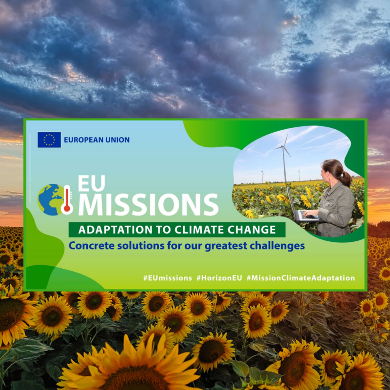 Cartel | Taller | Misión adaptación al cambio climático | Casos de éxito | 30 enero 2025 Aparece una imagen que promociona un taller titulado "EU Missions: Adaptation to Climate Change - Concrete solutions for our greatest challenges", organizado por la Unión Europea. El diseño incluye un fondo de girasoles y cielo al amanecer, con un recuadro principal verde y azul que destaca el mensaje central. A la derecha, una fotografía muestra a una mujer con portátil en un campo de girasoles con molinos eólicos al fondo, simbolizando sostenibilidad y acción climática.