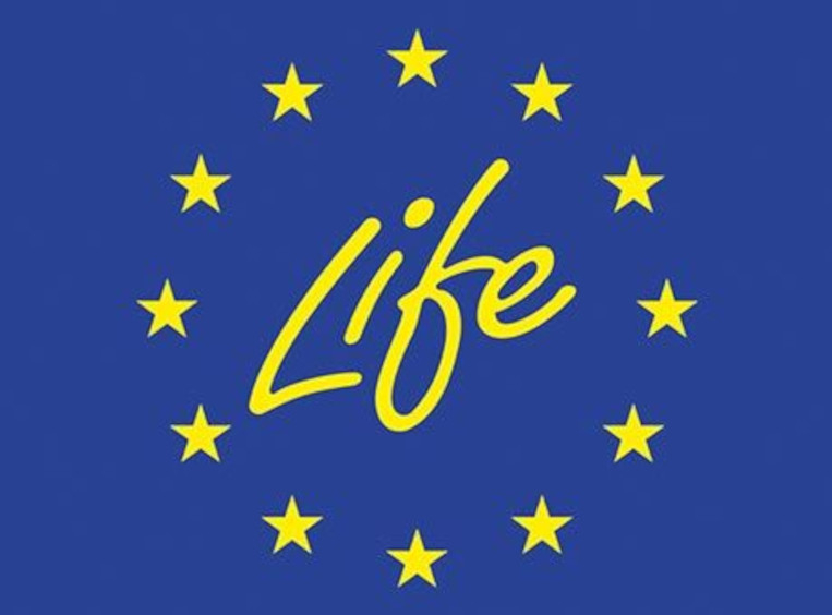 Aparece una imagen con fondo azul donde la palabra “Life” está escrita en amarillo con una tipografía manuscrita. Alrededor de la palabra hay un círculo formado por doce estrellas amarillas, similar al símbolo de la Unión Europea.