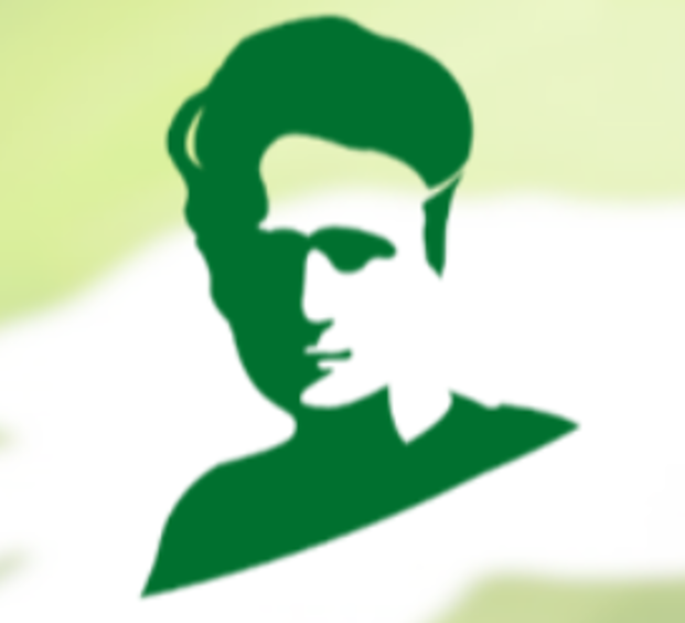 Logo MSCA PF Fundación Progreso y Salud 4 mayo 2023 aparece una imagen con fondo degradado y el contorno en verde de Marie Curie
