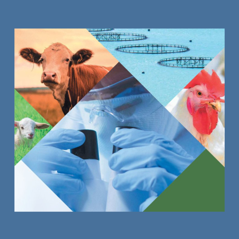 Cartel | Convocatoria “European Partnership on Animal Health and Welfare (EUPAHW)” Aparece una imagen que incluye fotos de diferentes animales (una vaca, una gallina y una oveja), además aparece la imagen de las manos de una persona con guantes trabajando en un laboratorio y una imagen de unas redes de pesca en el mar.
