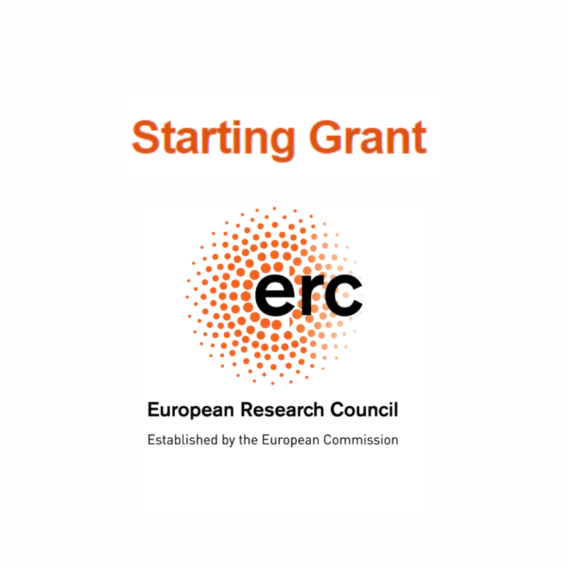 Logo | ERC Starting Grant 2025 Aparece una imagen del ERC sobre un fondo blanco junto con el título de la convocatoria abierta