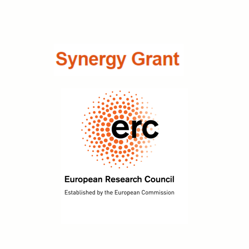 Logo | ERC Synergy Grant 2025 Aparece una imagen del logo del ERC sobre un fondo blanco junto con el título de la convocatoria abierta