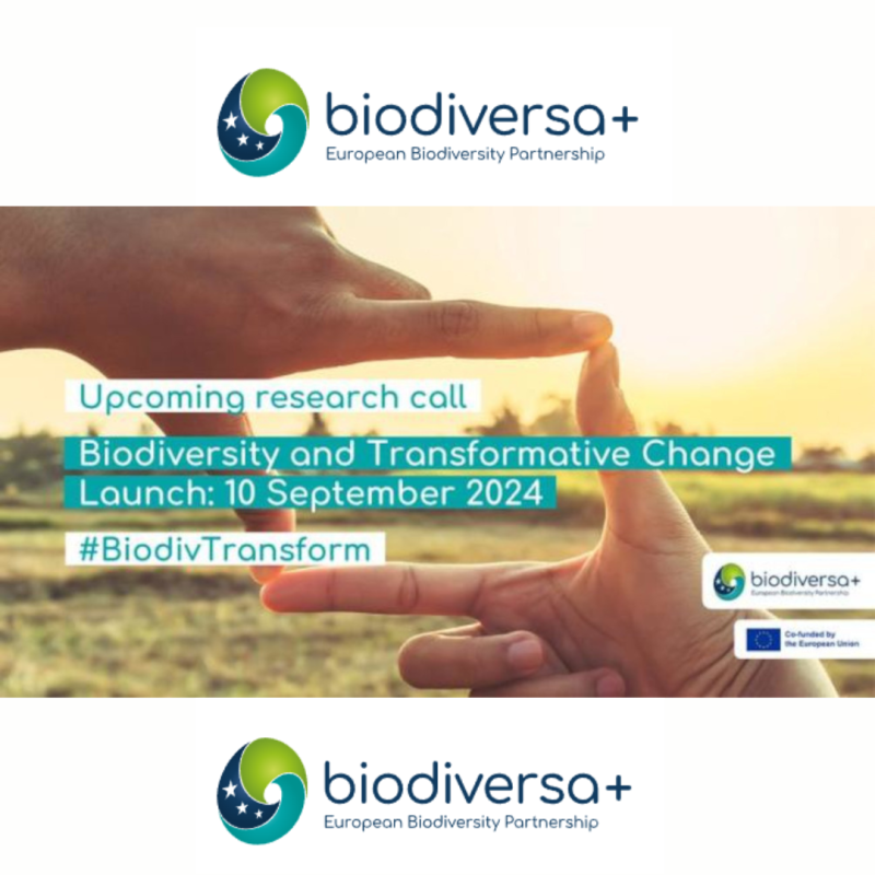 Cartel | Convocatoria | Biodiversa+:"BiodivTransform" Aparece una imagen de un horizonte con yn atardecer, el logo del paternariado biodiversa+ y el texto correspondiente a la convocatoria