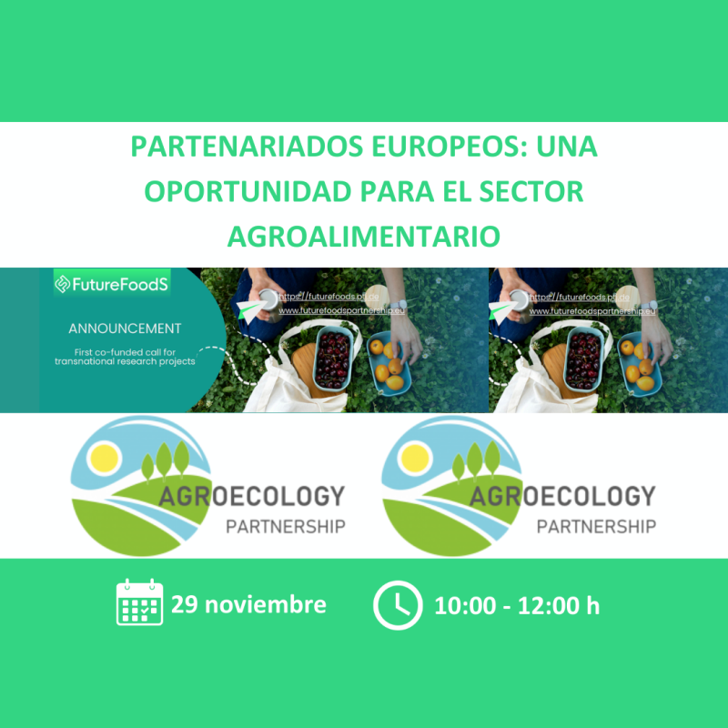 Cartel | Jornada informativa | Partenariados europeos: oportunidades para el sector agroalimentario | 29 noviembre 2024 Aparece una imagen que promociona la jornada informativa titulada "Partenariados Europeos: Una Oportunidad para el Sector Agroalimentario". Se llevará a cabo el 29 de noviembre, de 10:00 a 12:00 h, y está relacionada con los partenariados europeos FutureFoodS y Agroecology Partnership, que presentan convocatorias cofinanciadas para proyectos de investigación transnacional.