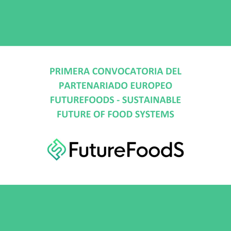 Cartel | Convocatoria FutureFoods | 15 enero 2025 (pre-propuesta) Aparece una imagen que anuncia la primera convocatoria del partenariado europeo FutureFoodS, centrado en sistemas alimentarios sostenibles. Tiene un diseño limpio en tonos verdes y blancos, destacando el nombre "FutureFoodS" con su logotipo asociado. El enfoque está en la sostenibilidad alimentaria del futuro.