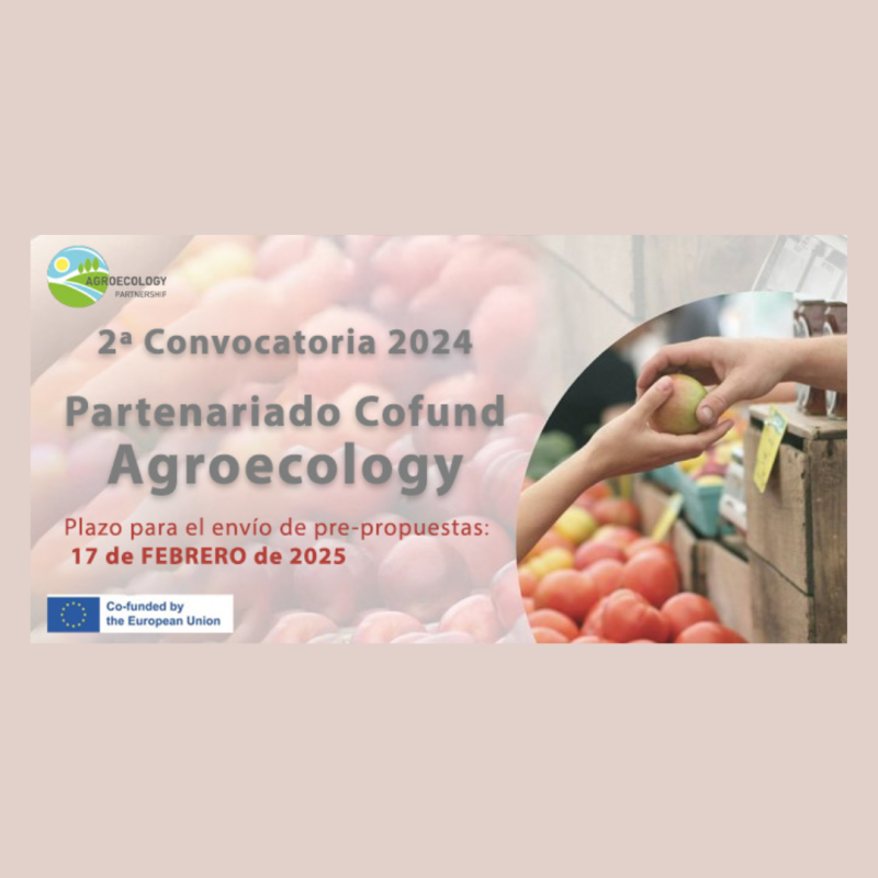 Cartel | 2ª convocatoria europea partenariado Agroecology | 17 febrero y 9 julio 2025 Aparece una imagen que presenta la 2ª convocatoria 2024 del Partenariado Cofund Agroecology, con plazo de envío de pre-propuestas hasta el 17 de febrero de 2025. El cartel incluye un fondo de productos agrícolas frescos, una mano seleccionando fruta y el logo de cofinanciación de la Unión Europea.