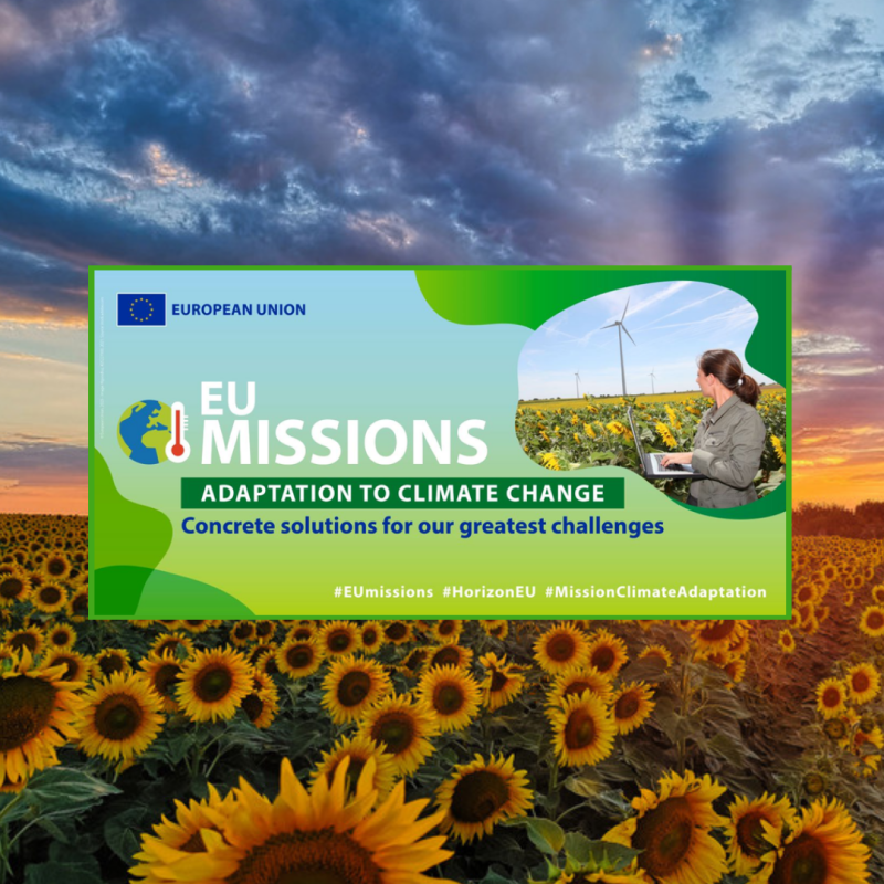 Cartel | Taller | Misión adaptación al cambio climático | Ejemplos de éxito | 30 enero La imagen promociona un taller titulado "EU Missions: Adaptation to Climate Change - Concrete solutions for our greatest challenges", organizado por la Unión Europea. El diseño incluye un fondo de girasoles y cielo al amanecer, con un recuadro principal verde y azul que destaca el mensaje central. A la derecha, una fotografía muestra a una mujer con portátil en un campo de girasoles con molinos eólicos al fondo, simbolizando sostenibilidad y acción climática.